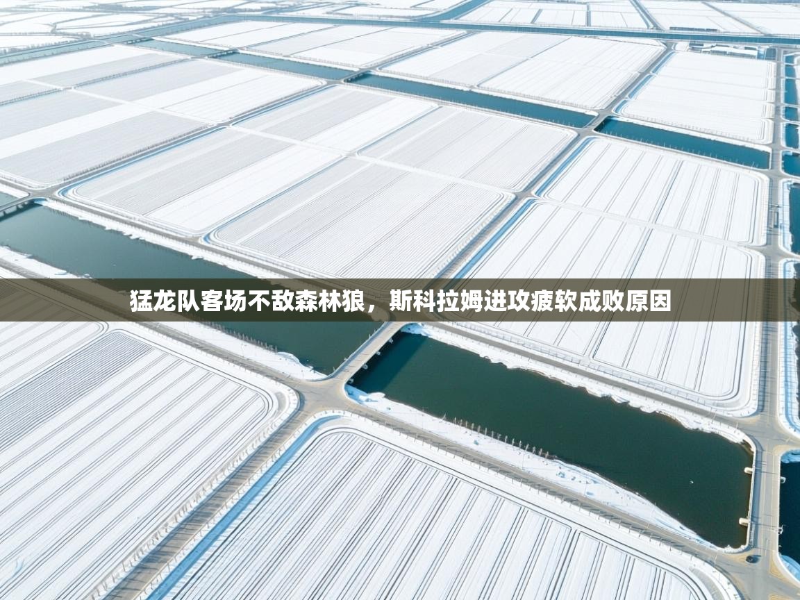 爱游戏娱乐赞助罗马02-猛龙队客场不敌森林狼，斯科拉姆进攻疲软成败原因  第2张