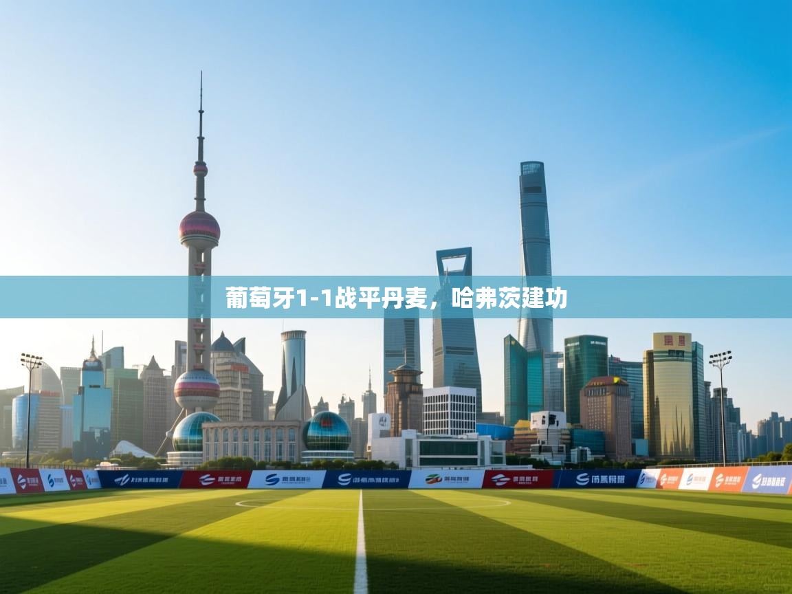 爱游戏体育娱乐-葡萄牙1-1战平丹麦，哈弗茨建功  第4张