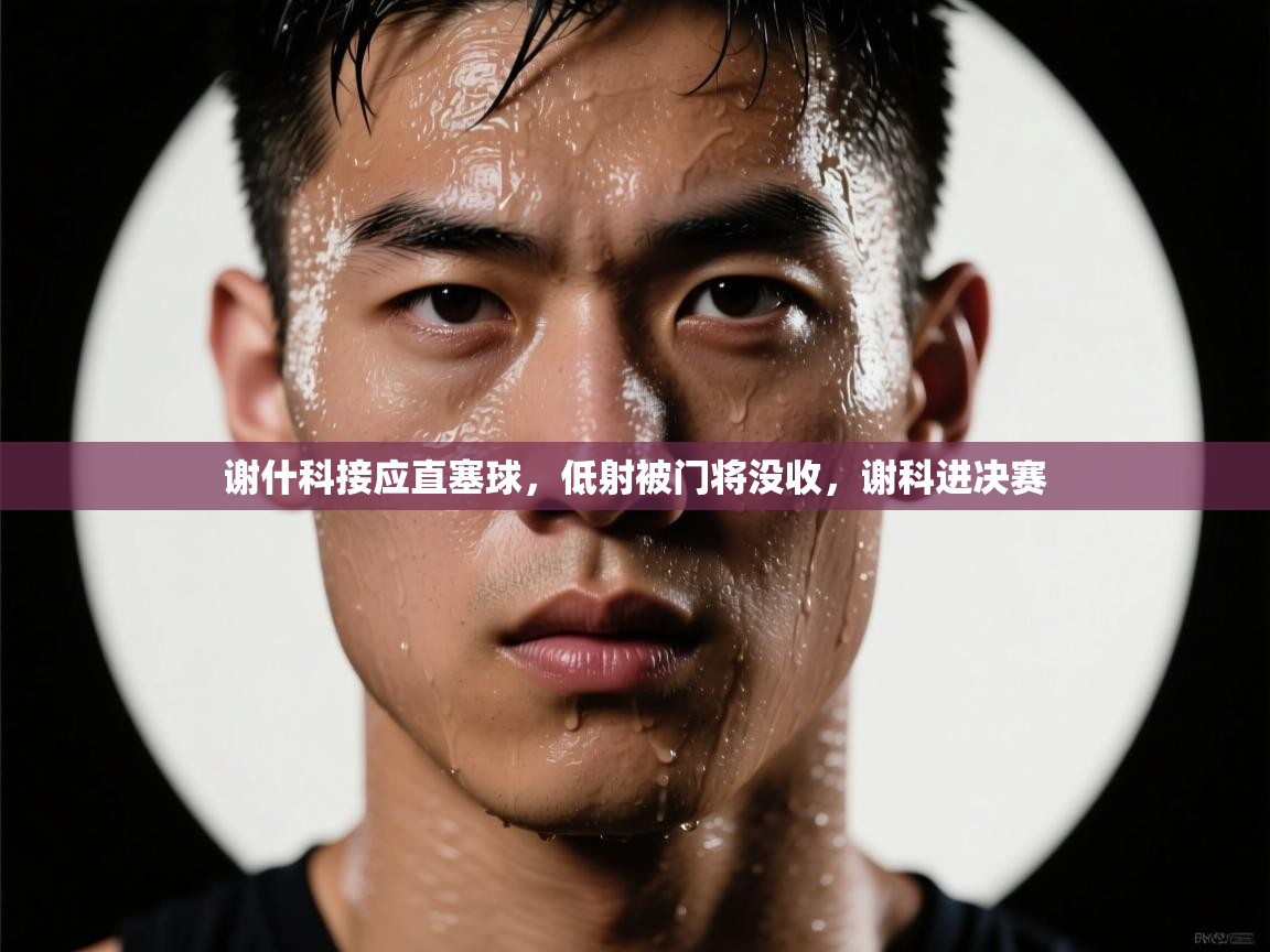 爱游戏娱乐登录-谢什科接应直塞球,低射被门将没收,谢科进决赛 第3张