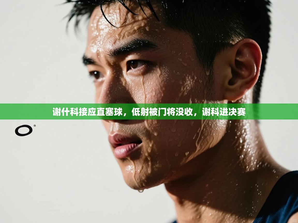 爱游戏娱乐登录-谢什科接应直塞球,低射被门将没收,谢科进决赛 第2张