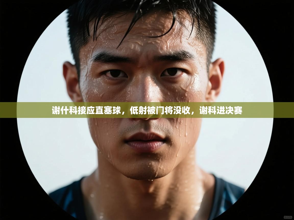 爱游戏娱乐登录-谢什科接应直塞球,低射被门将没收,谢科进决赛 第4张