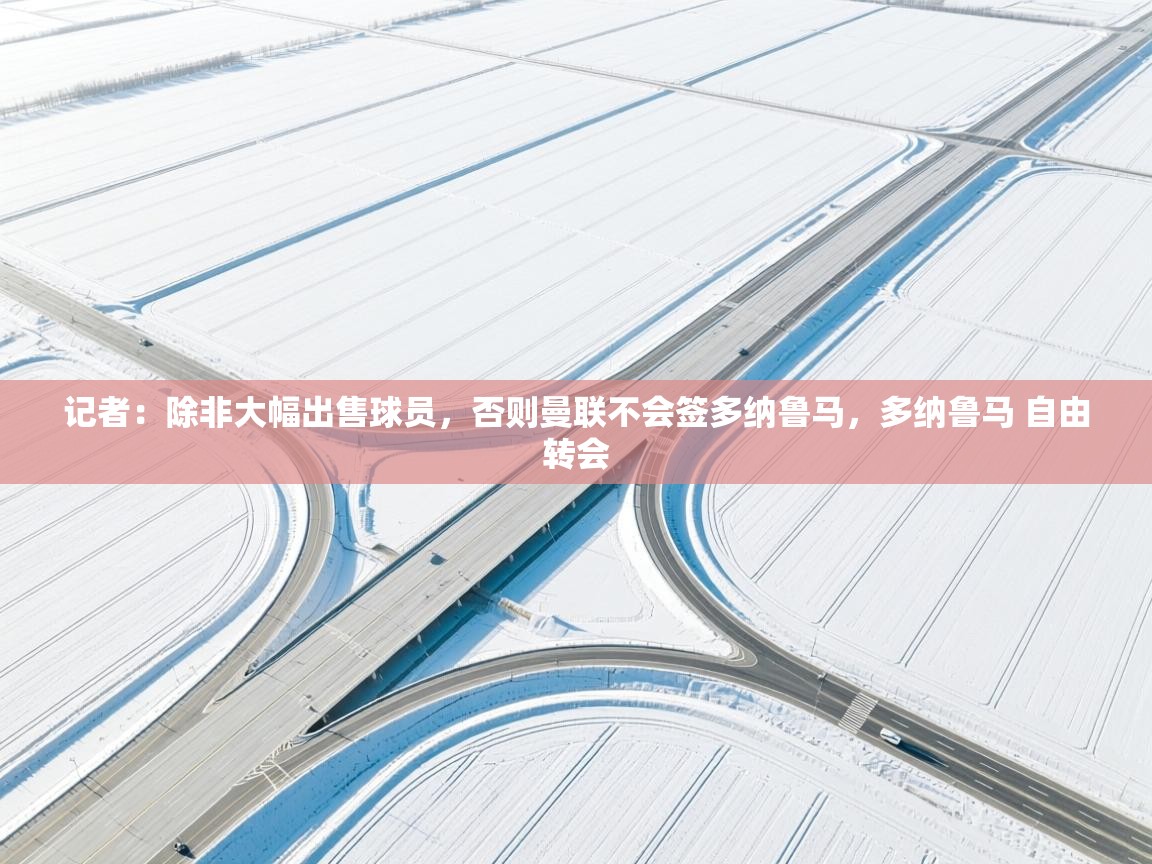 爱游戏体育在线-记者:除非大幅出售球员,否则曼联不会签多纳鲁马,多纳鲁马 自由转会 第1张