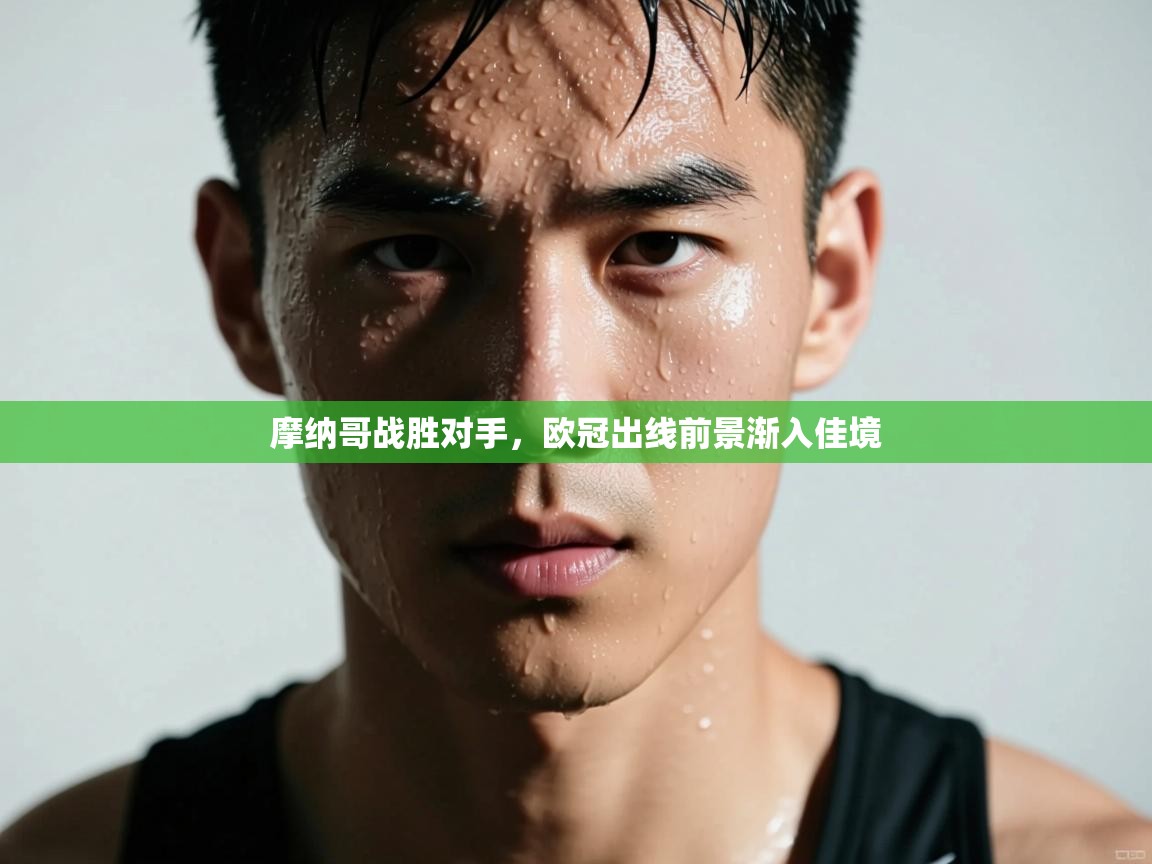 爱游戏娱乐网址-摩纳哥战胜对手，欧冠出线前景渐入佳境  第3张