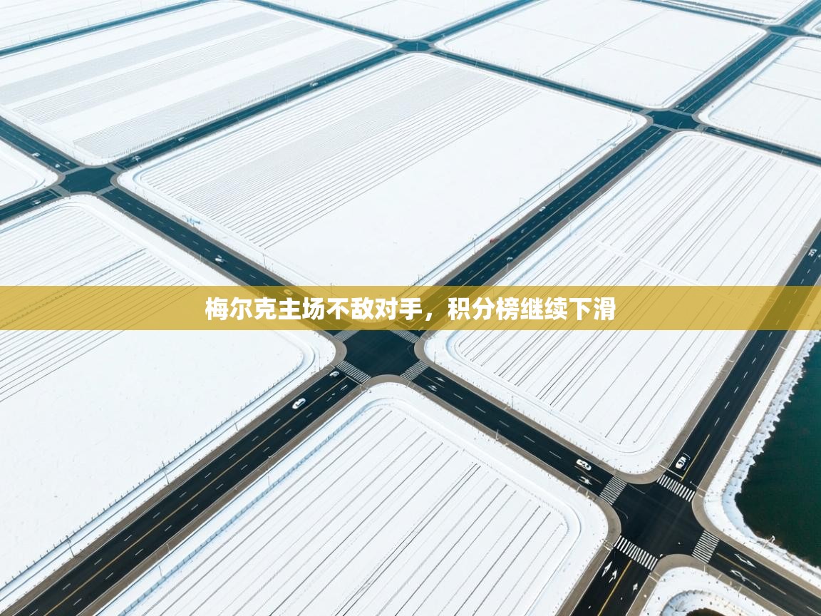 爱游戏体育赛事-梅尔克主场不敌对手，积分榜继续下滑  第2张