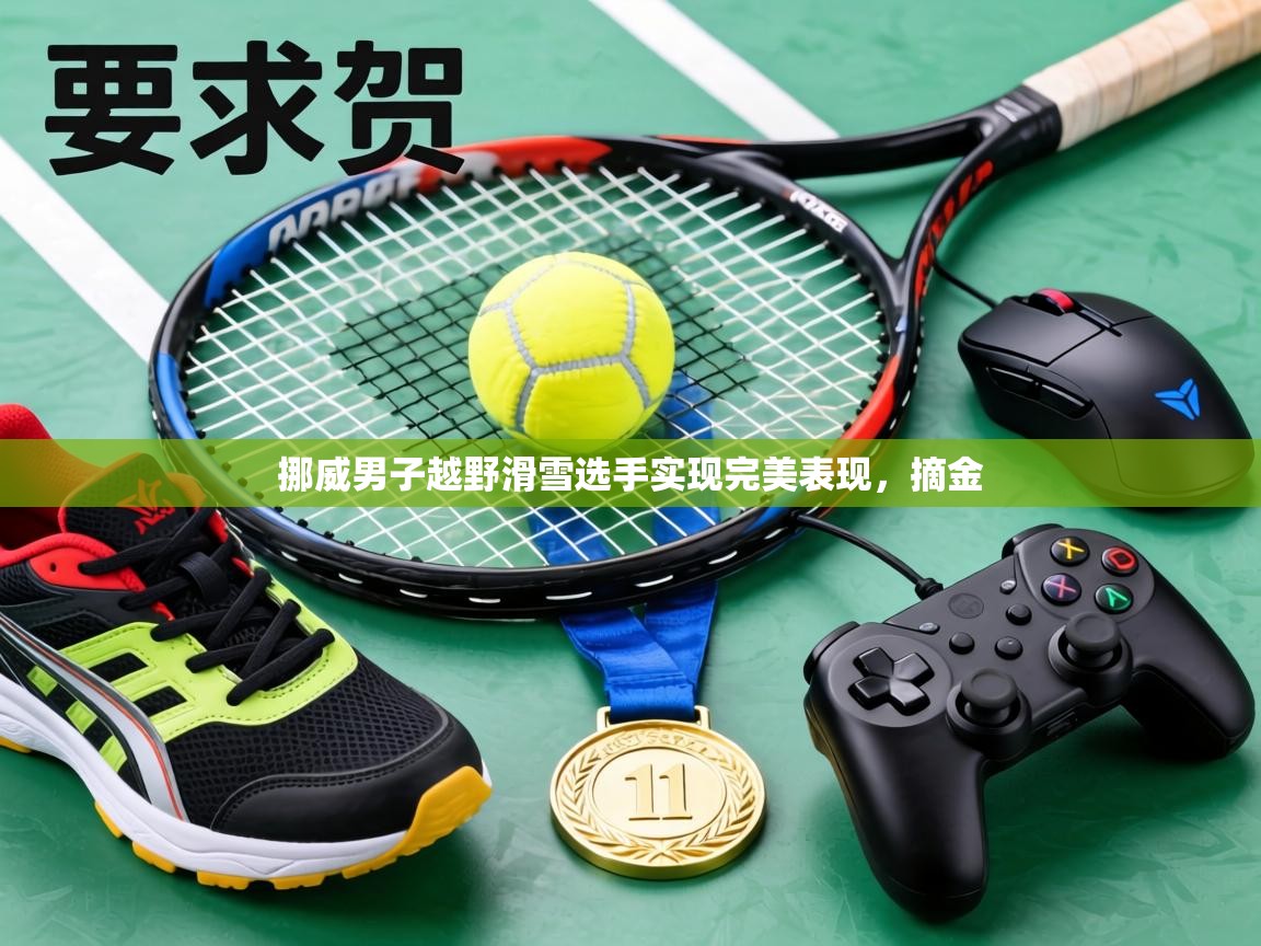 爱游戏体育赛事-挪威男子越野滑雪选手实现完美表现，摘金  第2张
